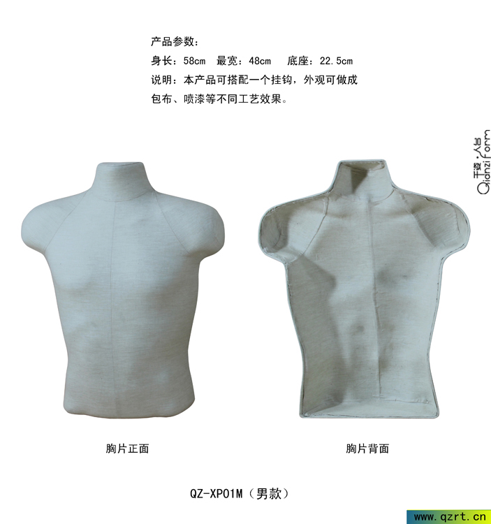 男装塑料胸片模型
